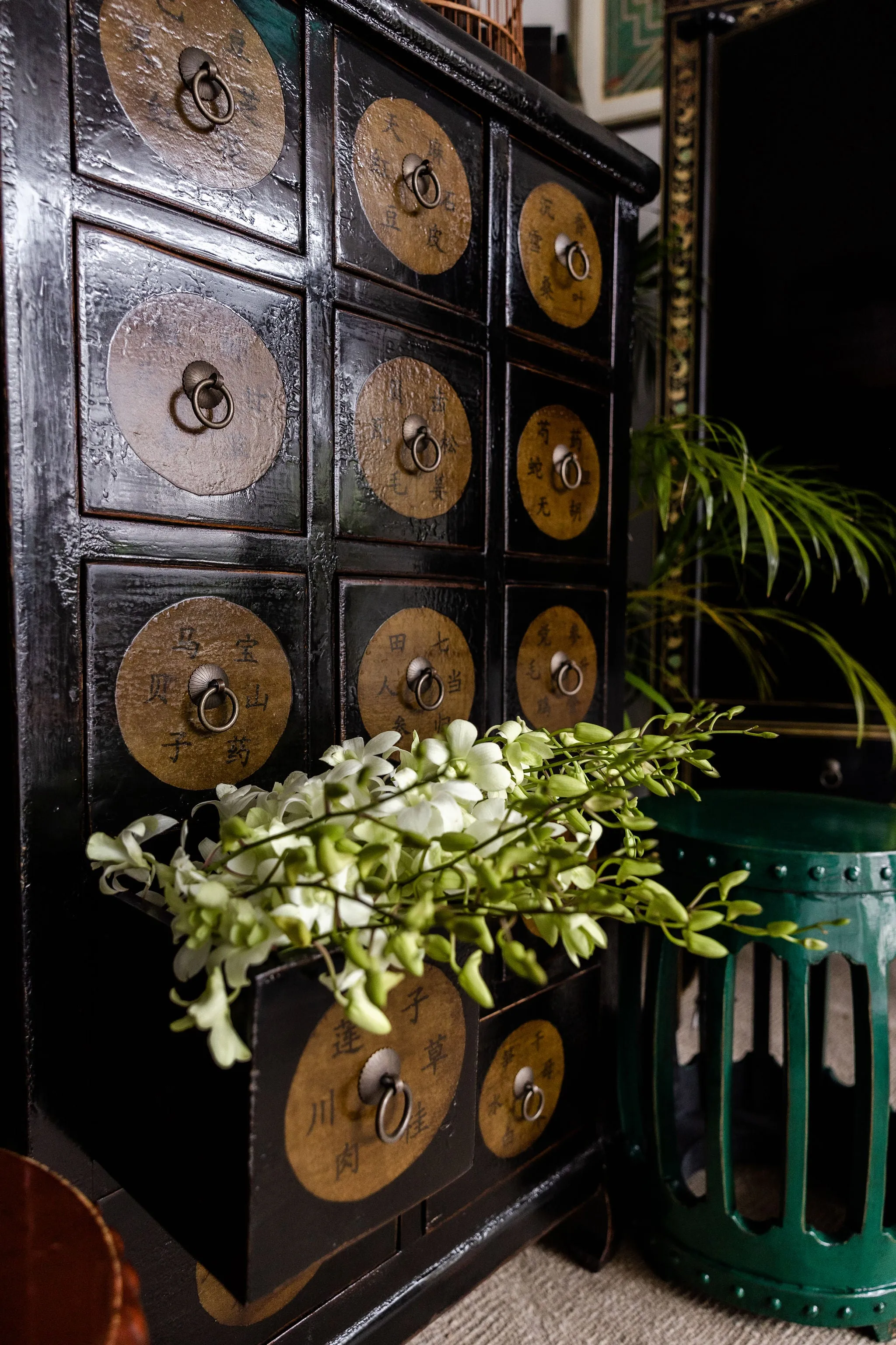 Chinese Medicine Cabinet with drawers