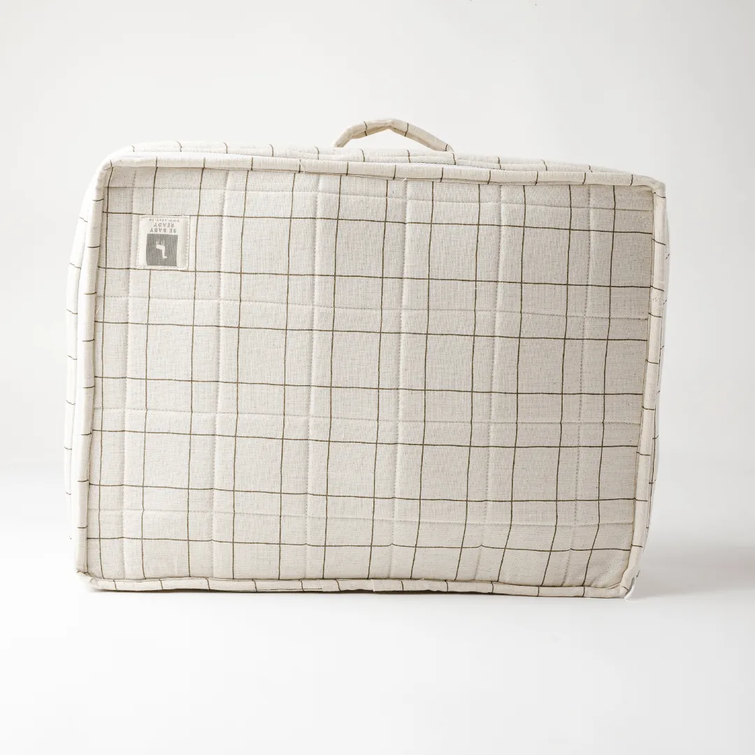 The Baby Suitcase